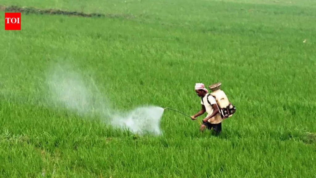 At 2.8L MT, paddy procurement achieves 105% of target in dist | Prayagraj News