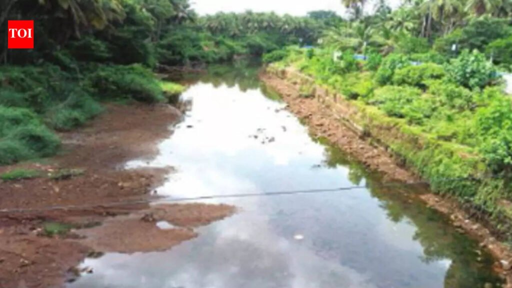 Bicholim river conservation efforts benefit farmers | Goa News