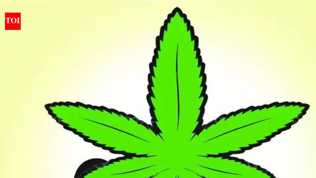 3 held with ganja, meth in Aryanad | Thiruvananthapuram News