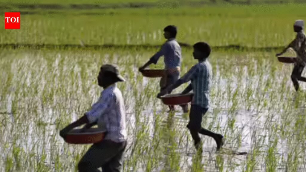 Nilgiris tops TN with 100% farmer ID registration; Coimbatore ranks fifth | Coimbatore News