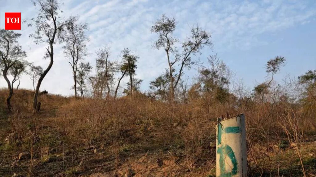 Punjab turns to geospatial tech to fix forest boundary gaps | Chandigarh News