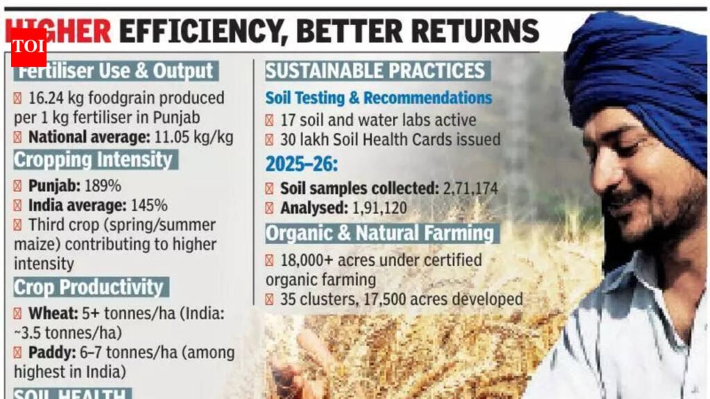 Each kg of fertiliser yields over 16kg foodgrain in Punjab, reveals data | Chandigarh News
