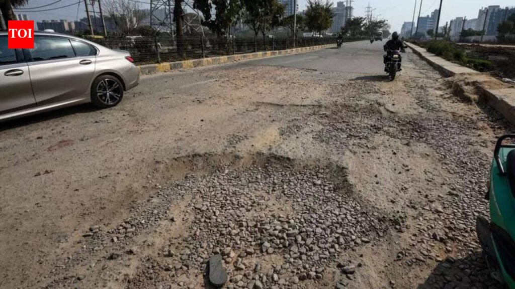 Fix potholes within 48 hours, Gurgaon civic body tells GMDA | Gurgaon News