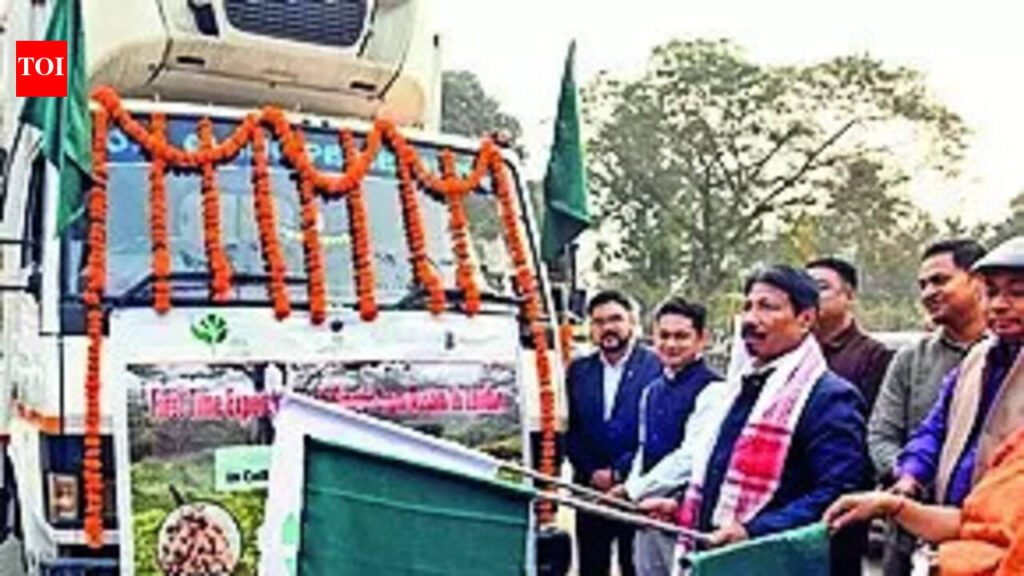 GI-tagged Karbi Anglong ginger enters London mkt | Guwahati News