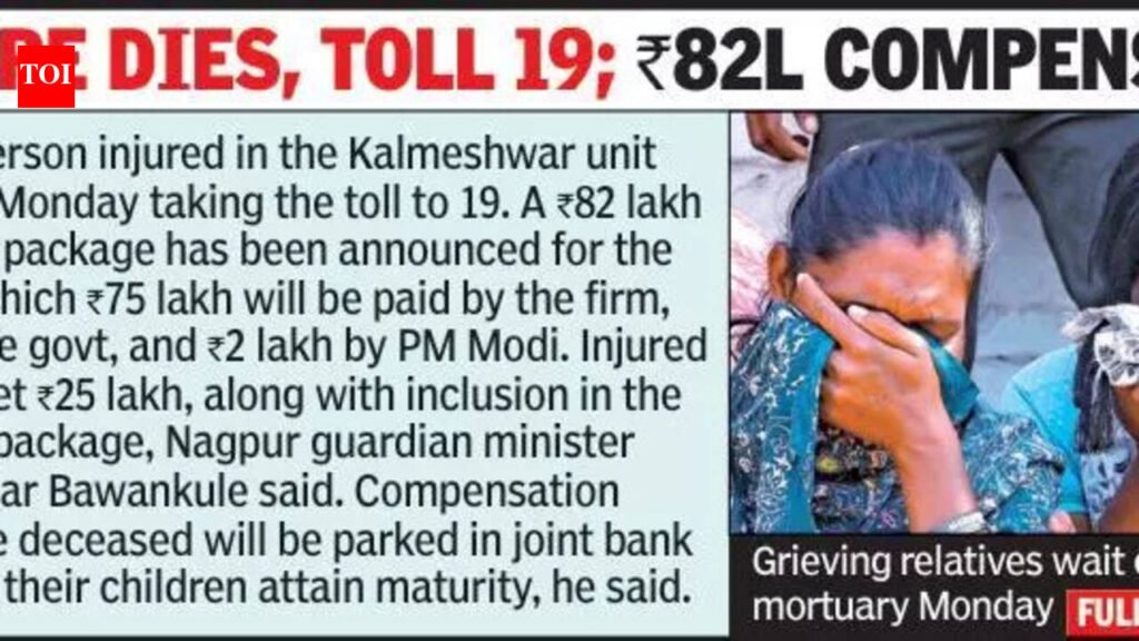 Raulgaon Blast Sparks Safety Crackdown, Maha To Investigate All Accidents In Explosives Units | Nagpur News