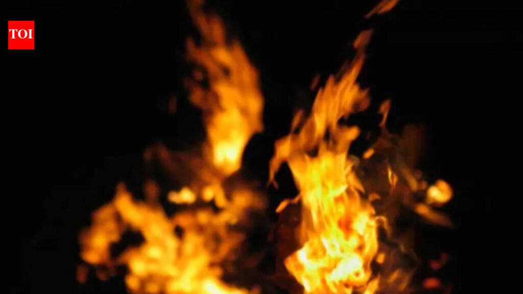 LPG cylinder explosion injures seven in Swaroop Nagar | Delhi News