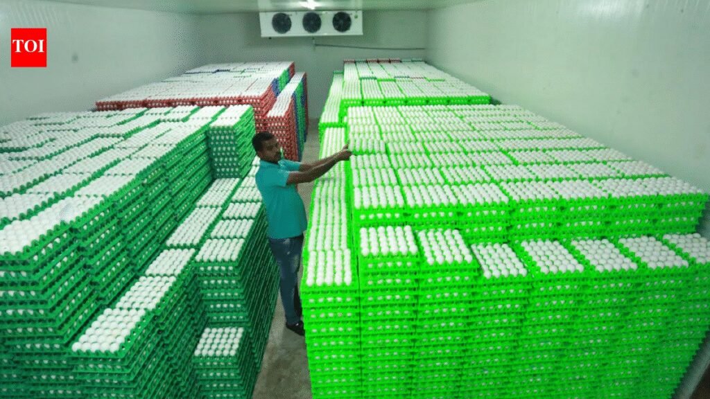 Israel-Iran war halts egg exports from Namakkal; losses estimated at Rs 5 five crore daily | Coimbatore News