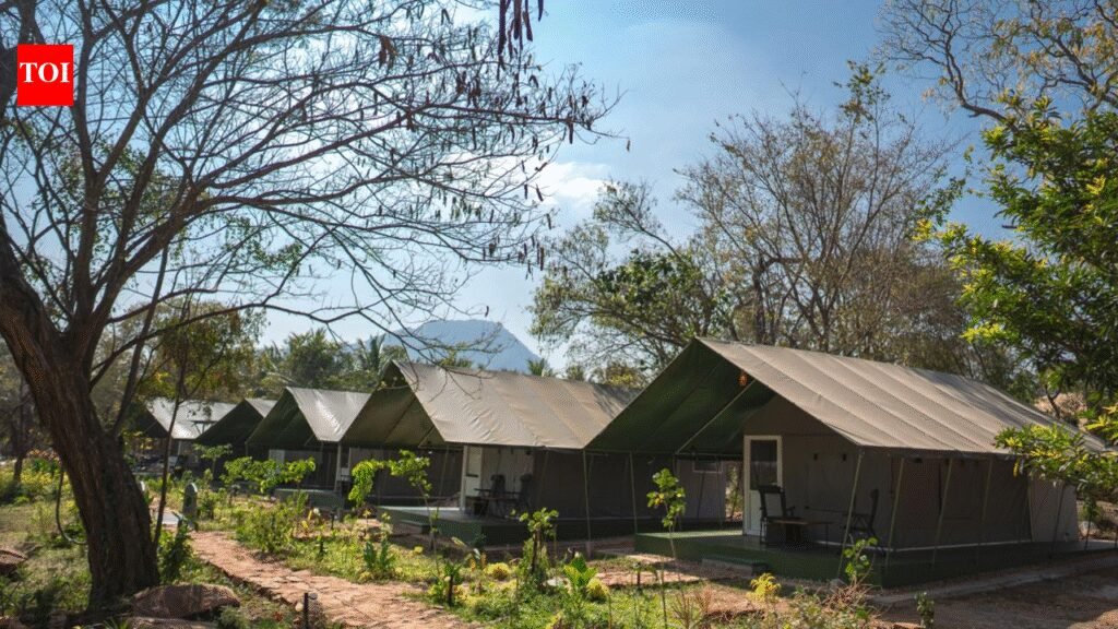 Tamil Nadu launches Luxury Tented Camp in Anamalai Tiger Reserve | Chennai News