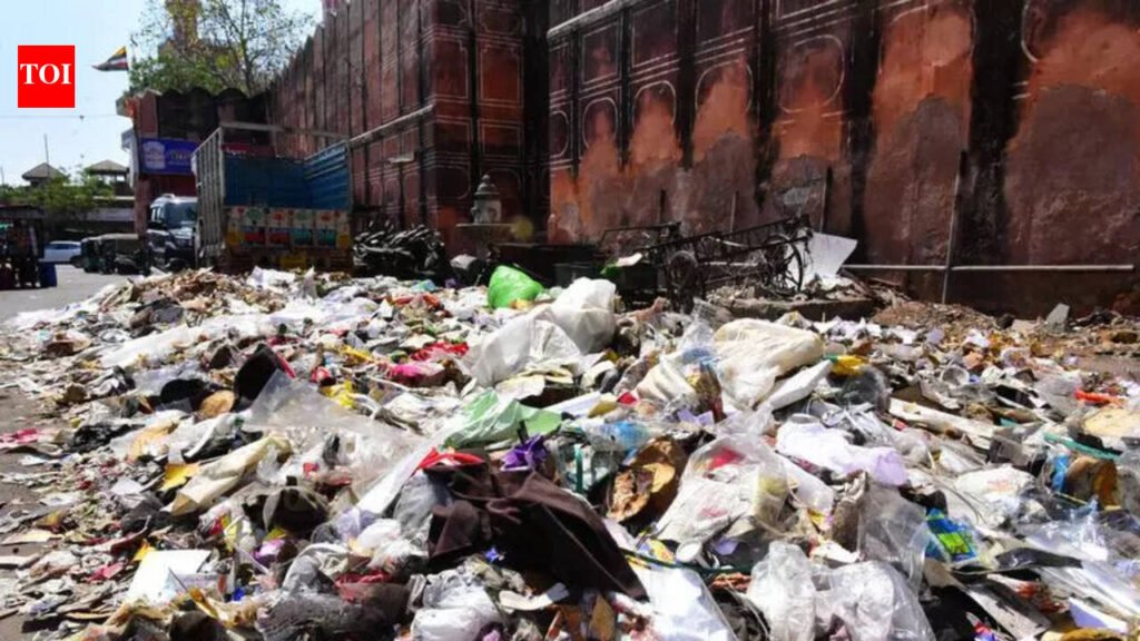 Overflowing Bins & Choked Roads: Clean City Claims Far From Reality | Delhi News