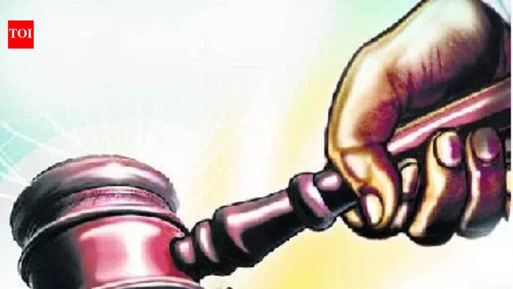 Nepal entry records raise fresh questions in Viktoriia Basu child custody case | Delhi News