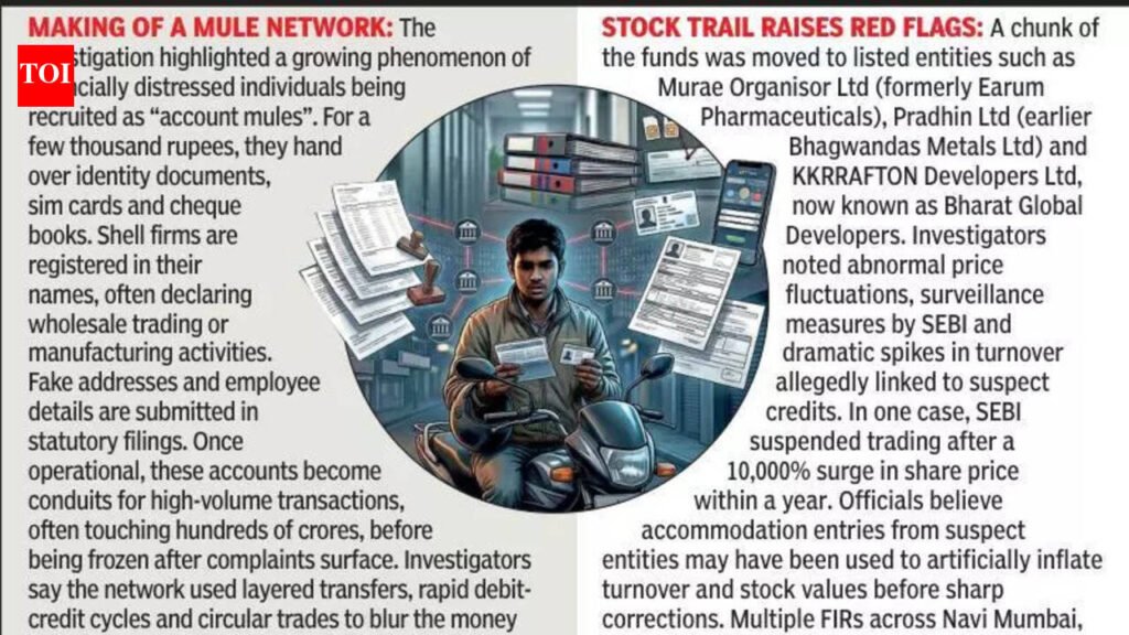 Rapido driver emerges key player in Rs 550cr money laundering racket | Ahmedabad News