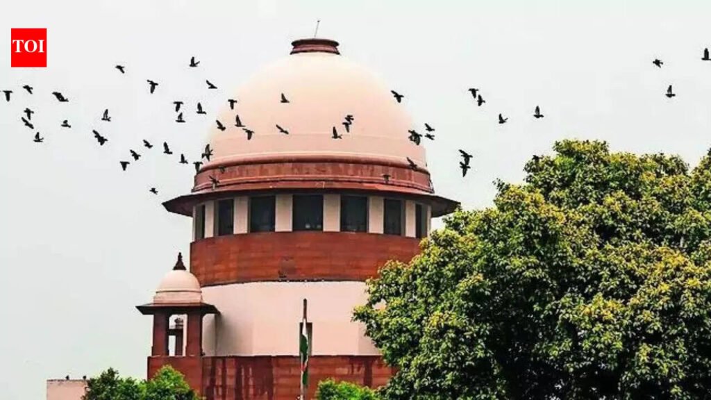 Supreme Court Verdict On Smuggling Case: After 41 years, Supreme Court finds accused guilty but waives prison term | India News