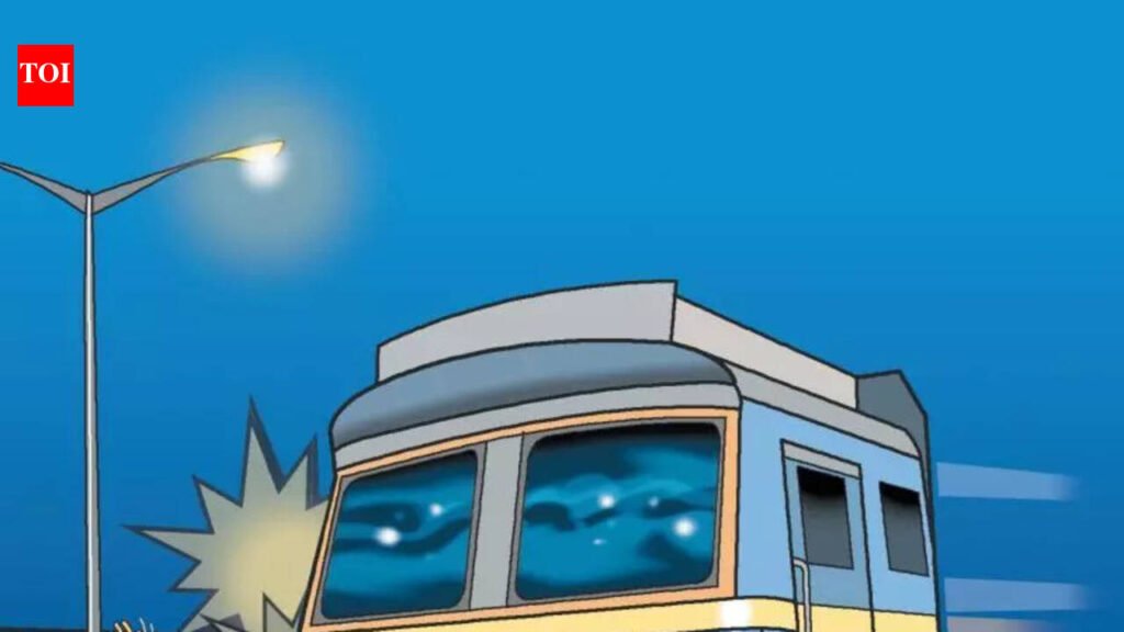 Truck parked without lights, MACT orders Rs 55.4L to accident victim | Vadodara News