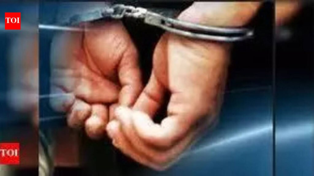 Duo linked to six burglaries in Chennai held in Rajasthan | Chennai News