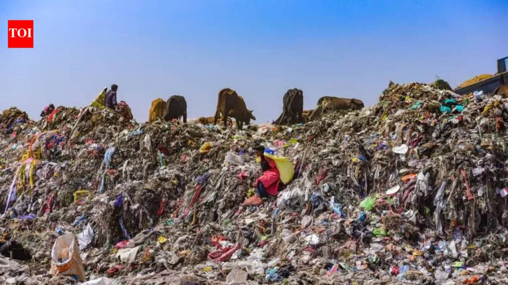 Punjab still has 41 lakh MT of legacy waste, clean-up unlikely before Apr 2027 | Chandigarh News