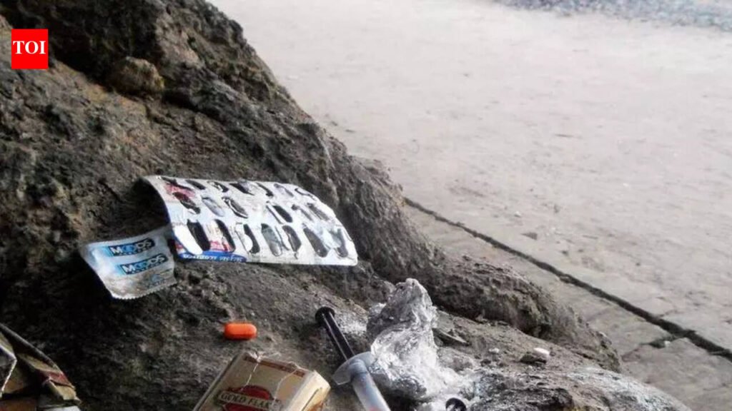 Repeat drug offender detained for 3 months under PIT NDPS Act | Chandigarh News