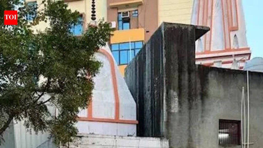 Erratic collection leads to garbage pile-ups in Greater Noida | Noida News