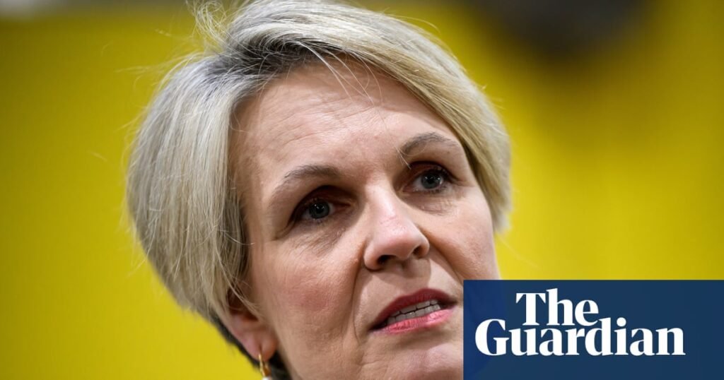 Plibersek accuses Mafs of platforming ‘coercive control’ after contestant wanted a woman ‘obedient’ like a dog | Tanya Plibersek