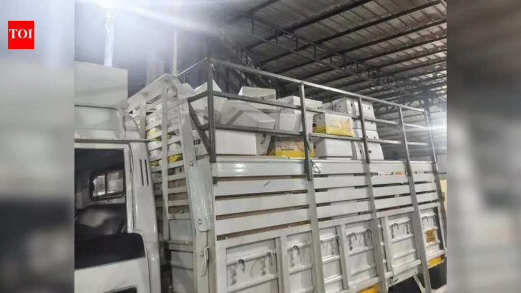 From curry leaves to pineapples: War cripples Kerala’s Gulf-bound vegetable exports amid Middle East crisis | Kozhikode News