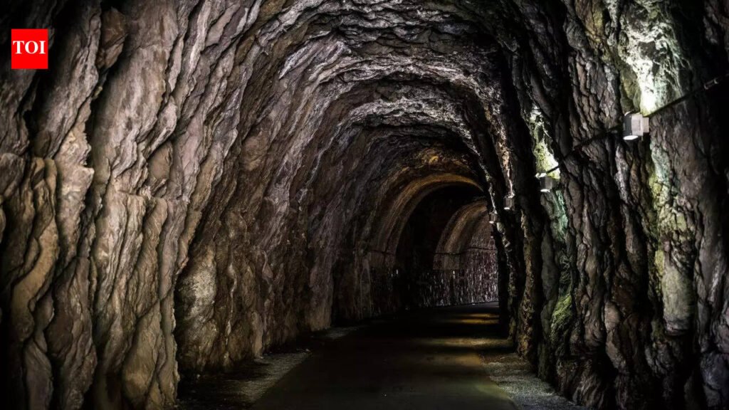 Sealed for 2,600 years, Italy’s ancient tomb finally opened to reveal jewellery, ritual vessels and human remains | World News
