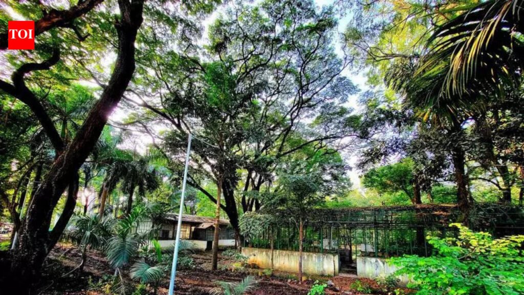 Amadea’s second hearing in Mundhwa land deal case pushed to March 9 | Pune News