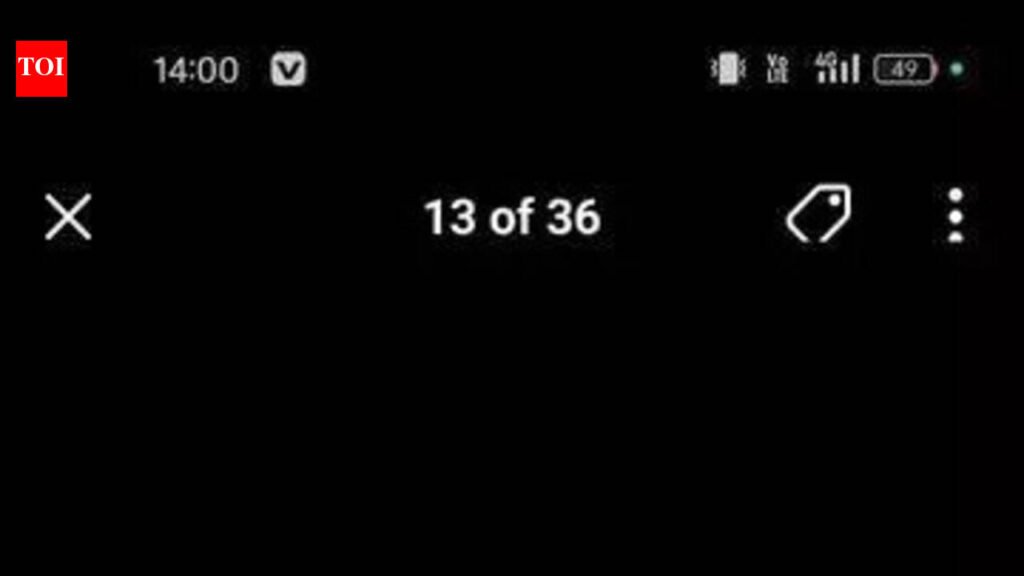 Youth killed in clash during cow smugglingchase in Alwar | Jaipur News