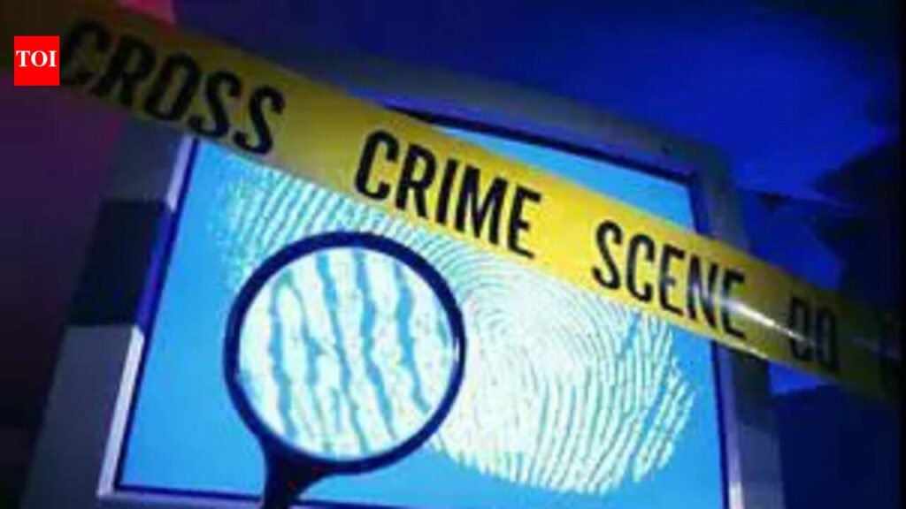 Cyber crimes down by 30% this year, 43% defrauded amount frozen in Feb | Goa News