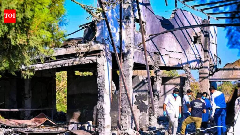 Lookout Notices Issued Against 10 Fugitives In Raulgaon Explosives Unit Blast | Nagpur News