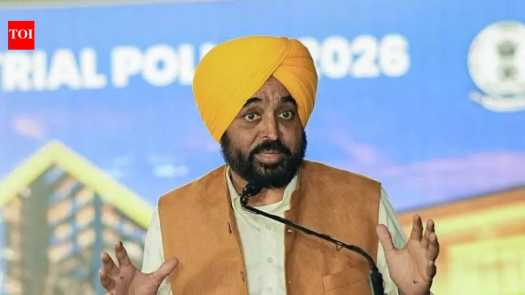 ‘Is India run from White House?’: CM Bhagwant Mann questions US permission for purchase of Russian oil | Chandigarh News