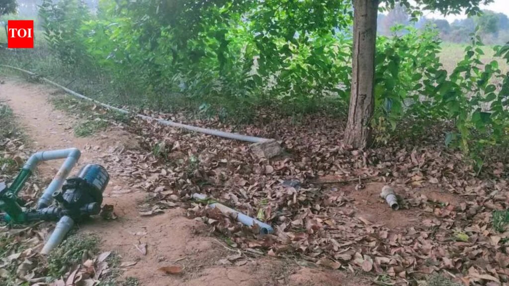 Elephants damage crops near Krishnagiri | Coimbatore News