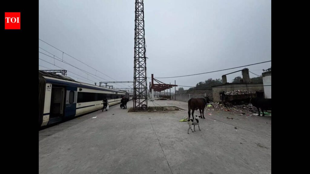 Multiple ‘platform 1s’ at Gaya station confuse passengers | Patna News