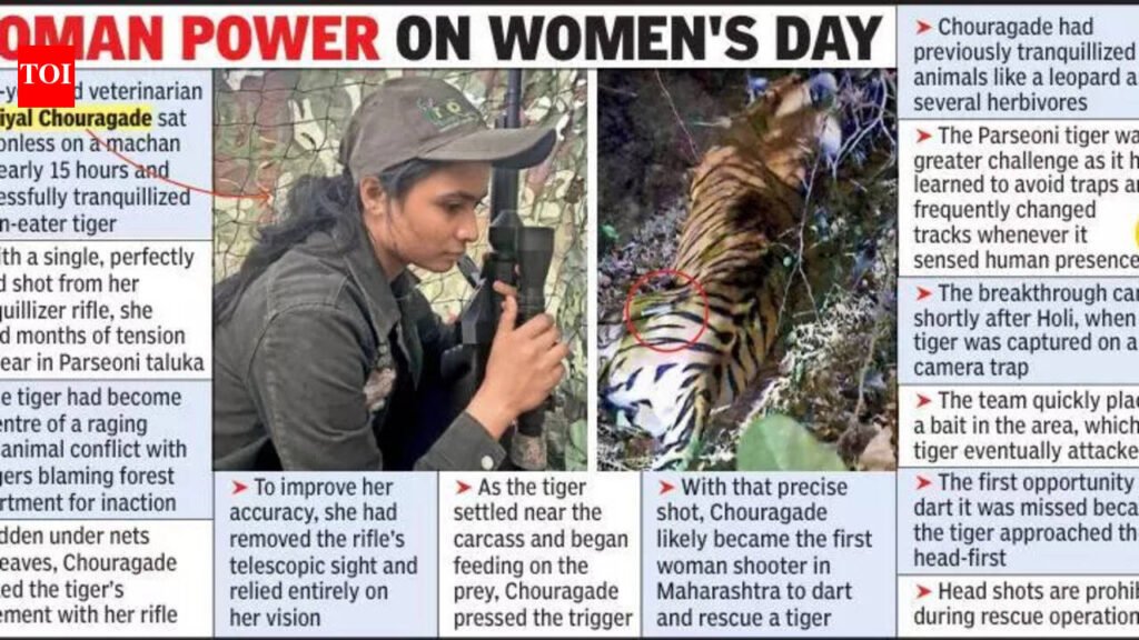 Woman Vet Waits 15-Hours On Machan, Darts Man-Eater Tiger | Nagpur News
