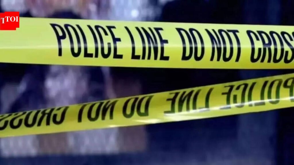 ‘Was pressuring me to marry her’: 24-year-old DU student arrested for killing woman at north Delhi hotel | Delhi News