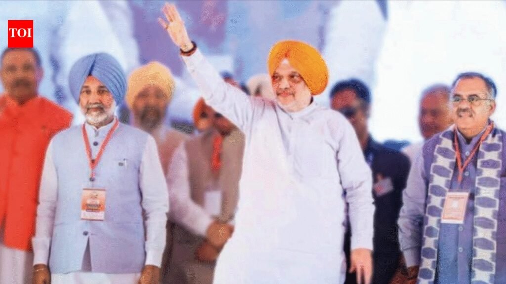 Will ban conversions if BJP forms govt In Punjab: Shah | India News