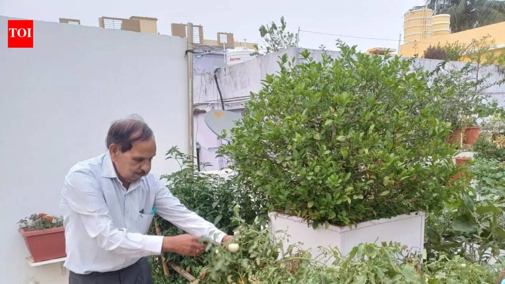 Septuagenarian’s ‘lab of natural farming’ thrives on rooftop in Jagamara | Bhubaneswar News