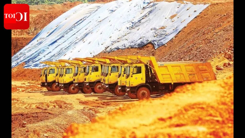 Goa’s Low-Grade Iron Ore Auction Receives Disappointing Interest | Goa News