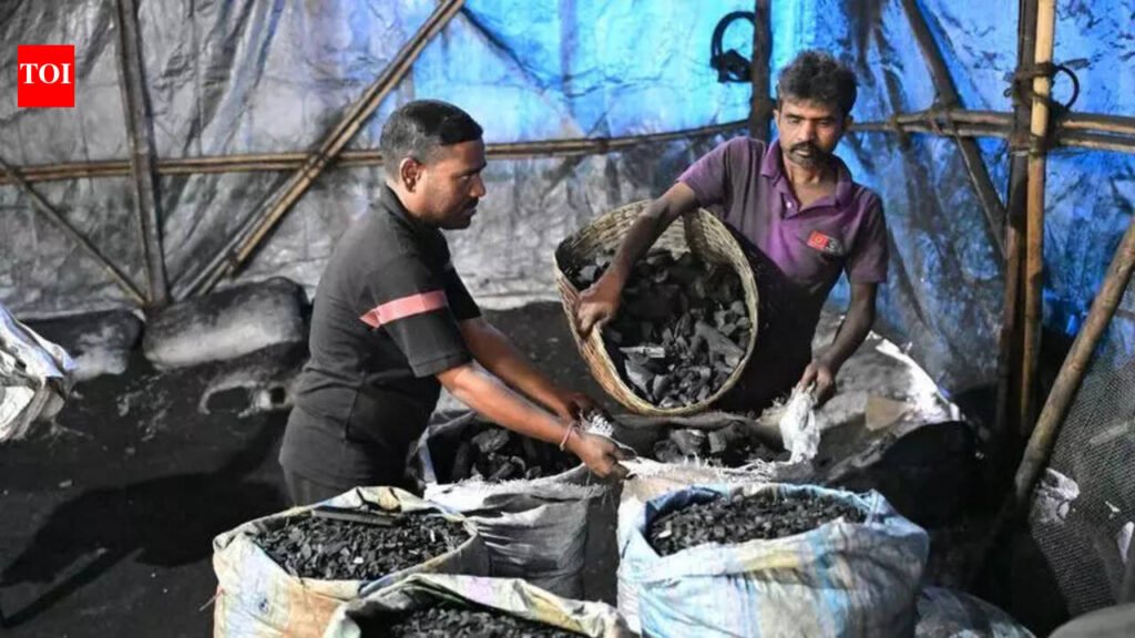 Charcoal is new black gold as Mumbai hotels covet wood nuggets; price spirals | Mumbai News