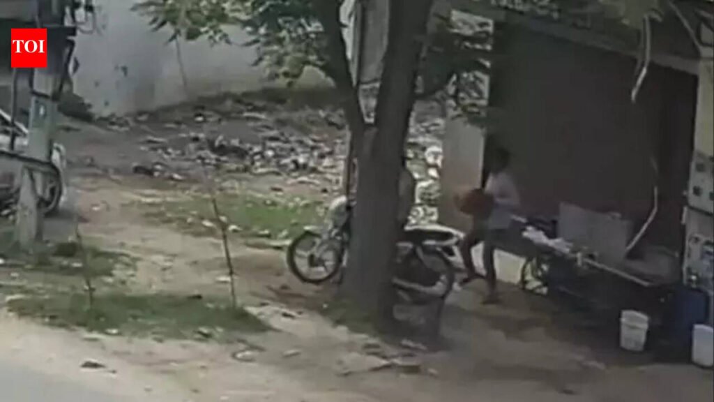 Cylinder heist: Thieves target tea stall amid LPG shortage | Chandigarh News