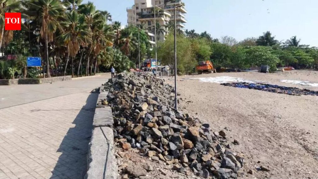 Volunteers removed 250 kg of marine waste in Carter Road coastal clean-up. | Mumbai News