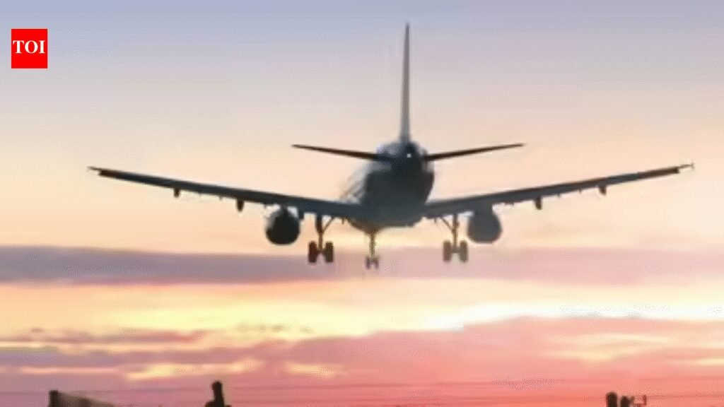 Govt may review bilaterals as international airfares defy gravity | India News