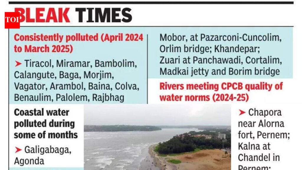Most Goa beaches polluted, unfit for bathing, fishing, water sports | Goa News
