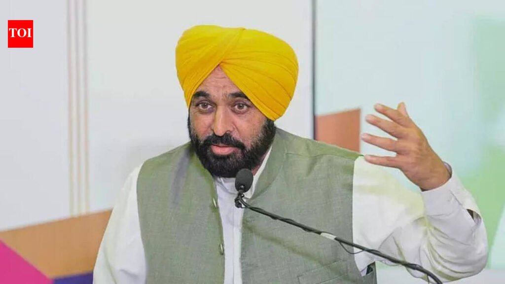 Punjab investors’ summit highly successful, says Mann | Chandigarh News
