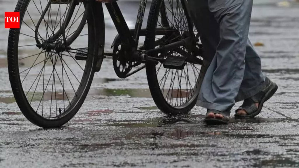 Light rain keeps heat under check, more showers likely | Delhi News