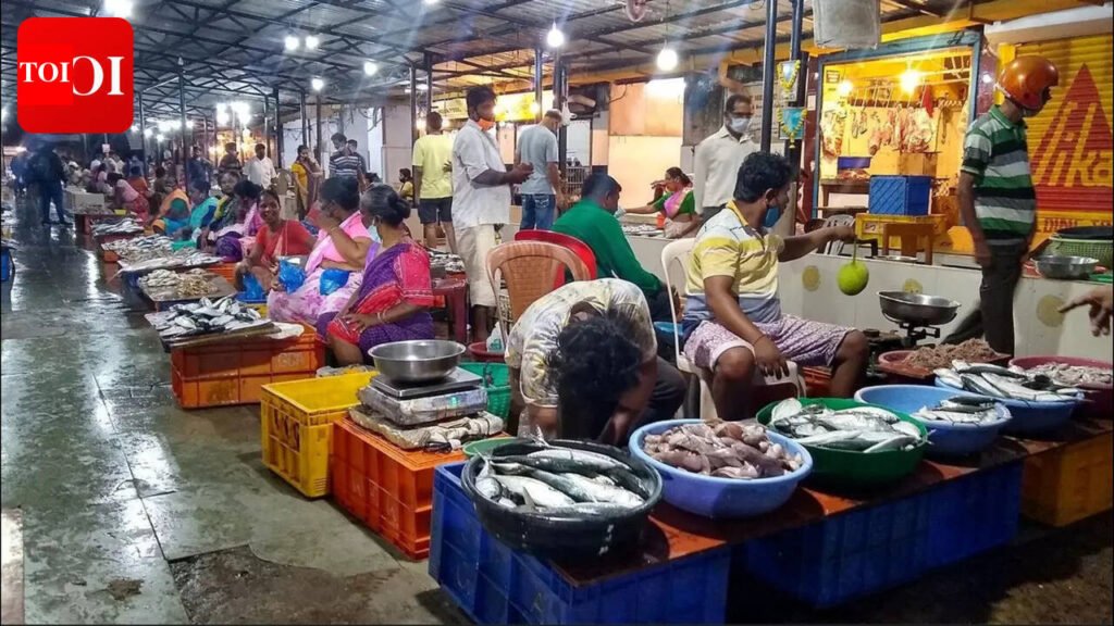 Fish Prices Steady Amid LPG Shortage Impacting Deep-Sea Fishing | Goa News