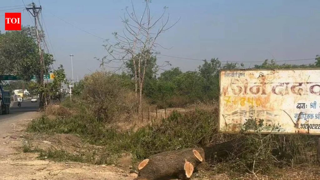 Greens approach NGT over cutting of over 700 trees for road widening | Pune News