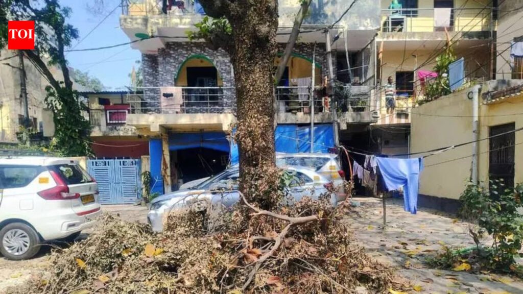 Dry leaves piling up, residents say waste not collected for days in Sector 71 | Noida News