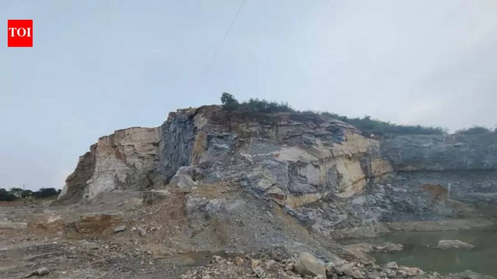 Aravalli restoration drive to commence in Udaipur soon | Jaipur News