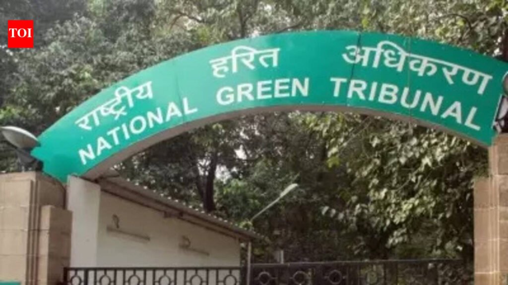 NGT notice to Odisha govt over illegal laterite mining and tree felling in Khurda | Bhubaneswar News