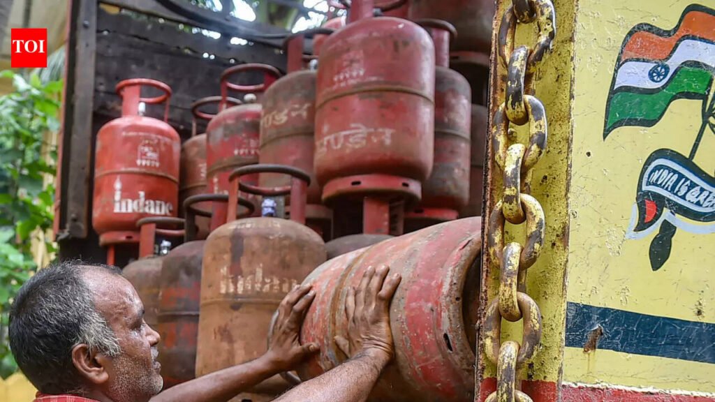89 LPG empty cylinders found in Madhubani raids | Patna News