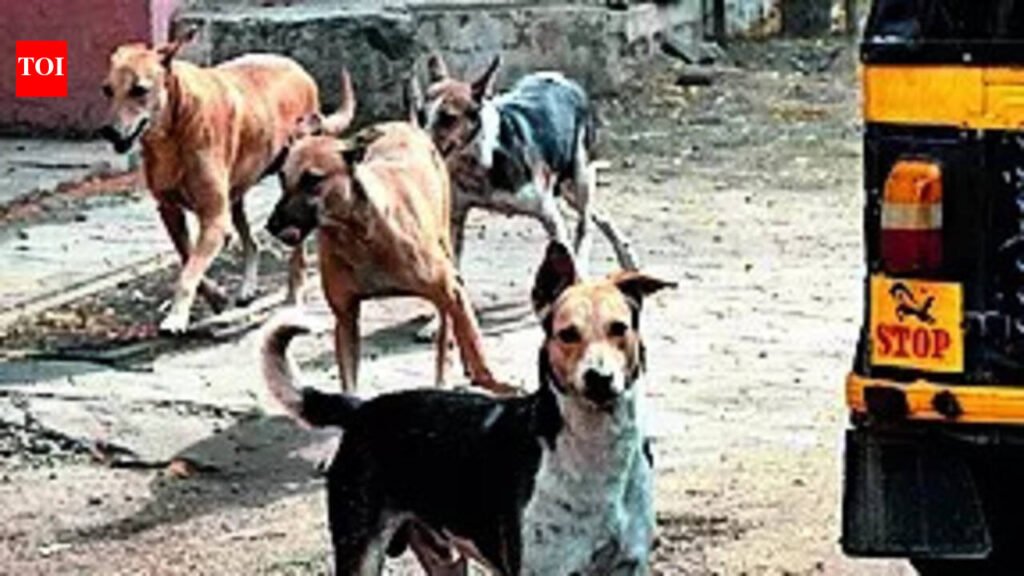RMC intensifies dog sterilisation, urges owners to register pets | Ranchi News
